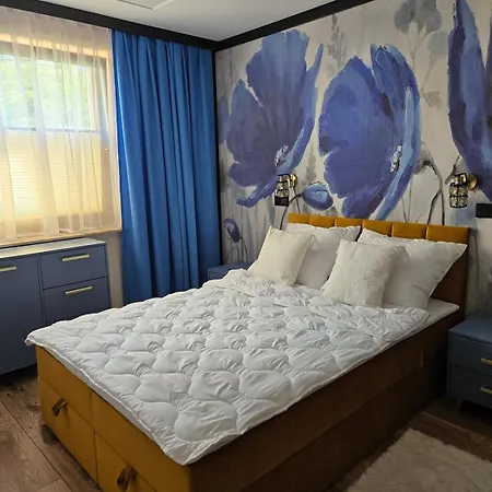 Daire Gorski Szafir *